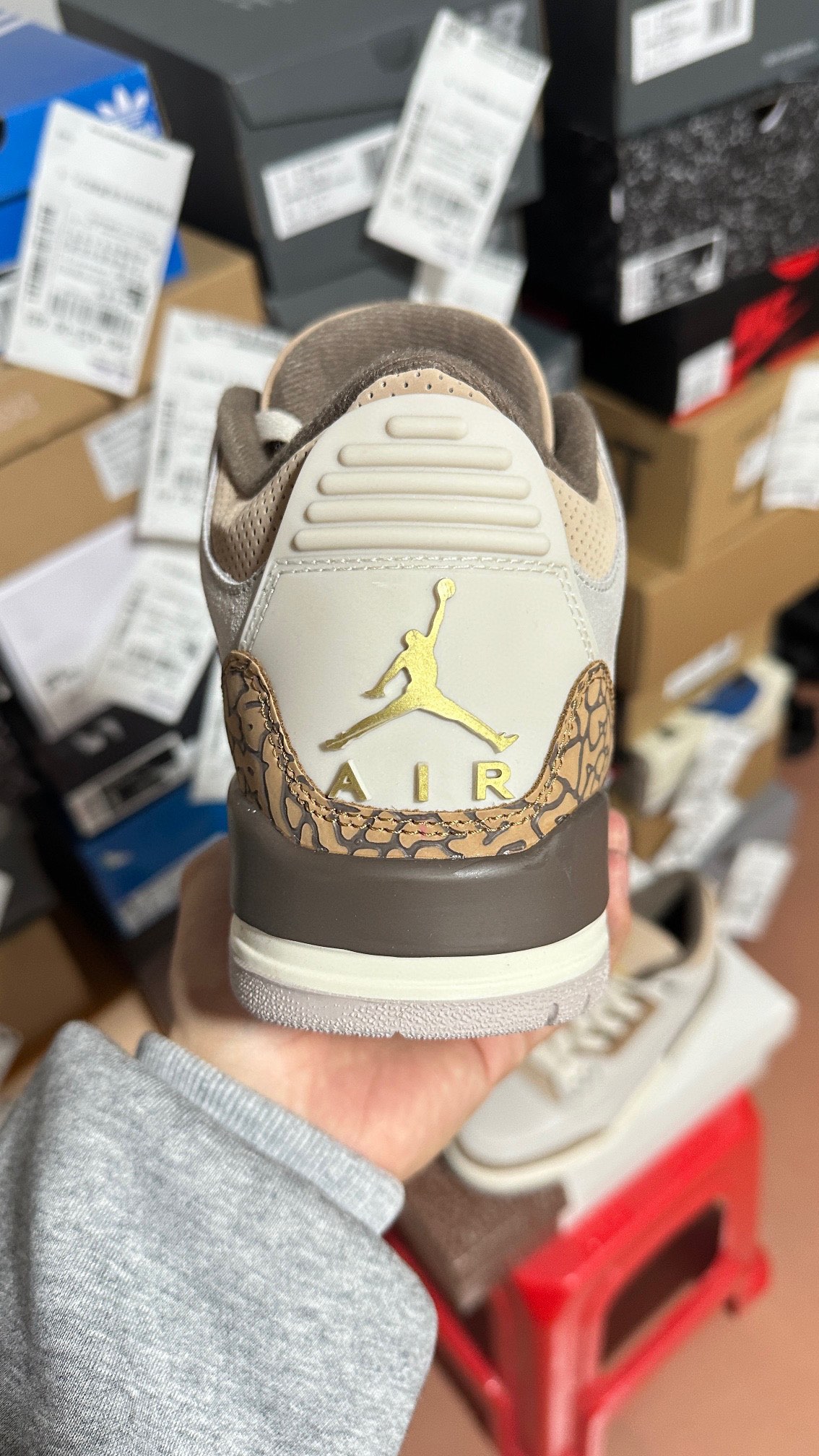 Nike Jordan shoe